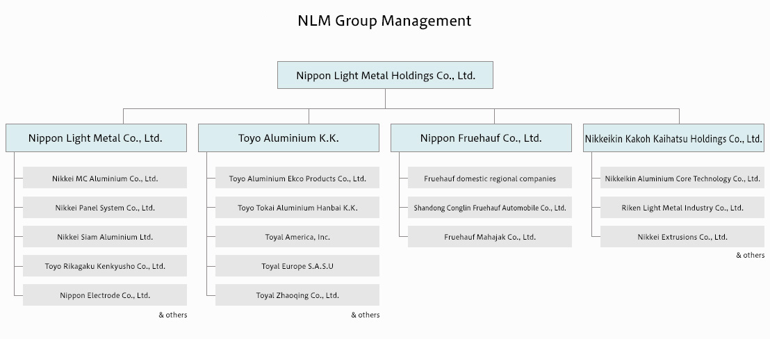 NLM Group Management (As of June 2017)